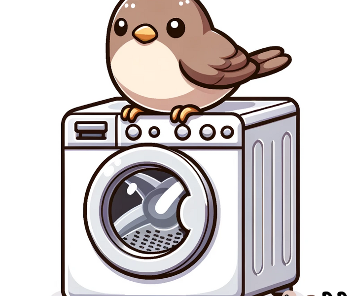 Make Laundry A Breeze with Dirty Birds Laundry Detergent